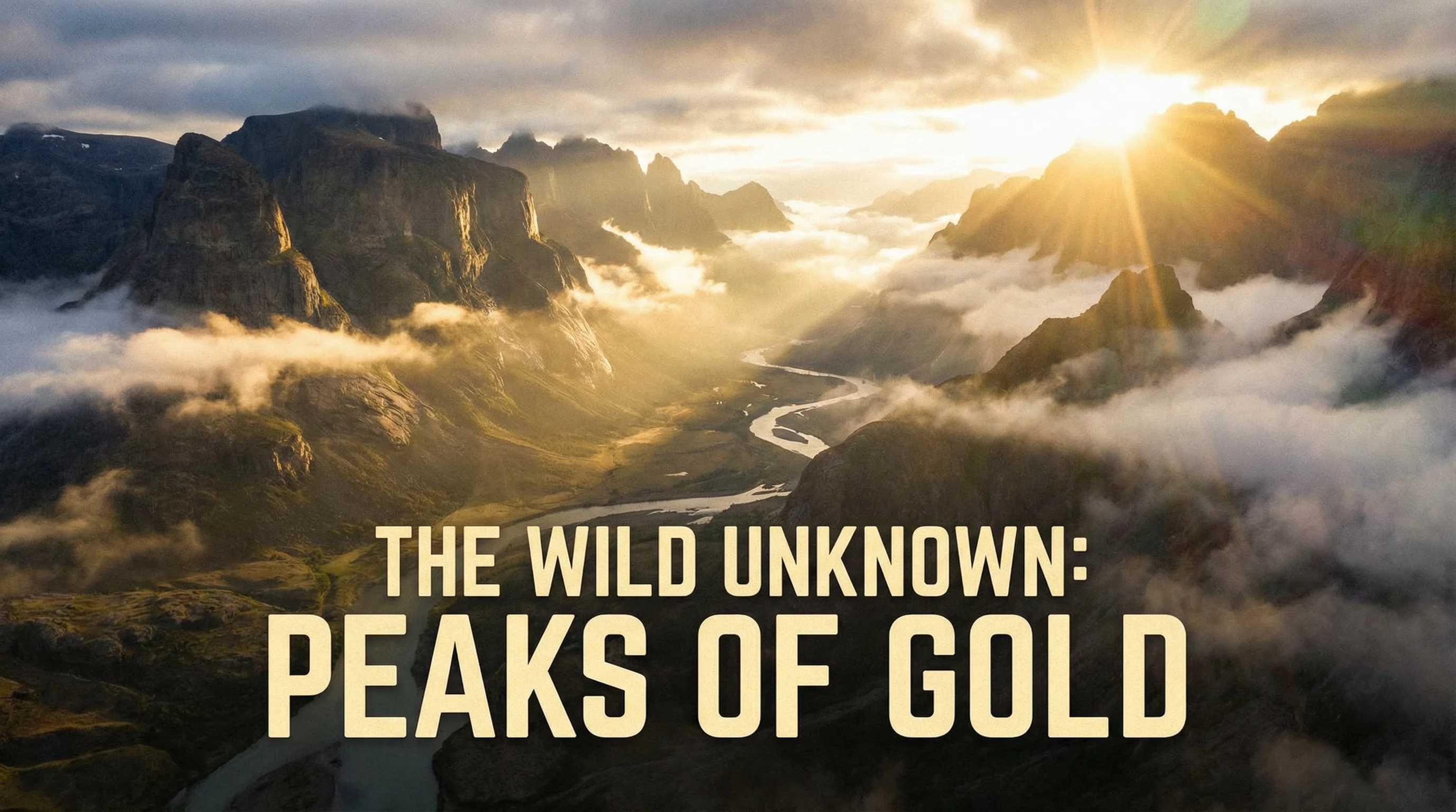 大象传媒探花精选内容展示